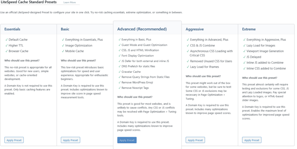 LiteSpeed Cache preset choices captured during the original ChemiCloud review